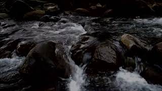 Tranquil River Flow | Calming Nature Sounds for Relaxation and Stress Relief