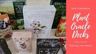 Plant Oracle & Tarot Decks | Wildcrafting & Energy Medicine