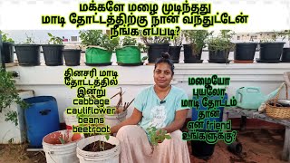 மாடியில் இடம் இருந்தால் நான் சொல்வதை முயற்சி செய்து பாருங்கள் தினசரி மாடி தோட்டத்தில் என்ன செய்யலாம்