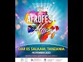 AFROFEST Africa 2022 Mini Documentary