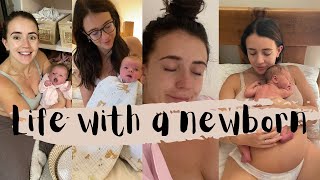 LIFE WITH A NEWBORN VLOG - 2 WEEKS OF LIFE AS A FAMILY OF 5