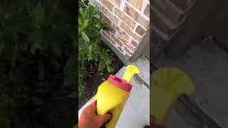 Easiest Way To Stop Weeds From Growing in Flowerbeds