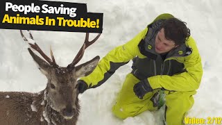 Kind and touching moments: people saving wild animals in trouble. | Wild Animal Rescue