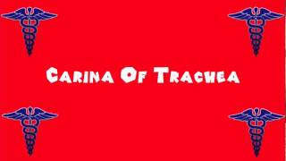 Pronounce Medical Words ― Carina Of Trachea