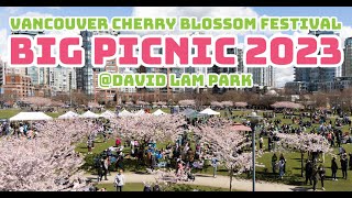 Vancouver Cherry Blossom Festival - Big Picnic 2023 バンクーバー桜祭り(ビックピクニック) at David Lam Park