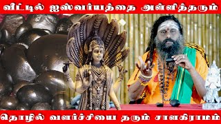 தொழில் வளர்ச்சியை தரும் சாளகிராம கல் | வீட்டில் அத்தனை செல்வங்களையும் ஐஸ்வர்யத்தையும் தரும் கல்