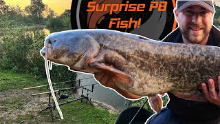 24 Hours at Brookside Fisheries | My Best Catfish Session Ever | Part 2