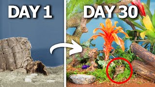 Simulating a Rainforest for 30 Days