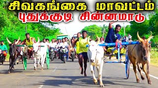 5சிவகங்கை(மாவட்டம்) புதுப்பட்டி சின்னமாடு பந்தயம் 02.08.2023