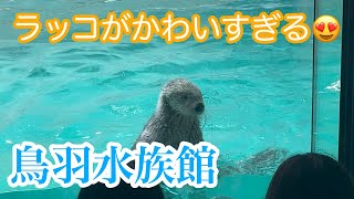 【ラッコがかわいすぎる😍】飼育種類日本一の水族館！鳥羽水族館が楽しすぎました！かわいい生き物がたくさん✨【めちゃ癒されます】