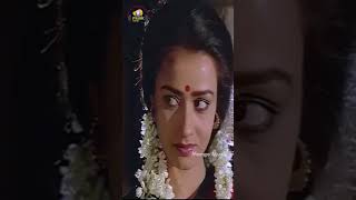 Mounam Sammadham Tamil Movie Songs | Kalyana Then Nila Vertical Song | Amala| Mammootty| Ilaiyaraaja