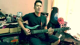 Replica Fear Factory (GuitarCover) SGR C7 Schecter