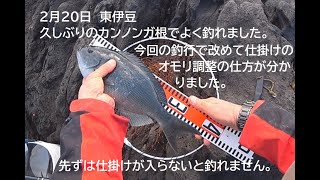 ２月20日　久しぶりのカンノンガ根で良い釣りが出来ました。