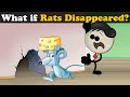 What If Rats Vanished? + more videos | #aumsum #kids #science #education #children