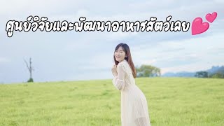 ศูนย์วิจัยและพัฒนาอาหารสัตว์เลย