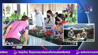 จังหวัดพิษณุโลก จัดประกวดบอนไทยด่าง