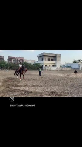 First Horse рџђћ Running Shorts Ginni S Shorts Horse Lover Horse Rider