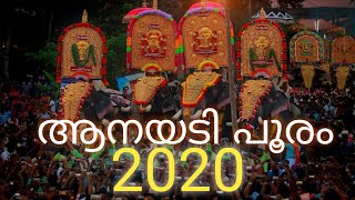 ആനയടി പൂരം 2020 പ്രെമോ|യുവജന സമിതി|Anayadi Pooram 2020|കടേക്കച്ചാലിൽ ഗണേശൻ