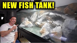 New aquarium for DREAM FISH!!