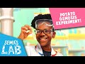 Osmosis In Potatoes | Science Experiments for Kids | Sema's Lab | Super Sema