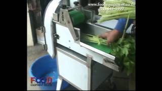 Vegetable Cutter เครื่องหั่นผักสายพานเขียว MP 125