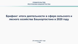 Брифинг: итоги деятельности в сфере сельского и лесного хозяйства Башкортостана в 2020 году