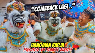 HANOMAN RADJA COMEBACK LAGI DENGAN KOSTUM BARU YANG SEMAKIN JOSS❗️❗️KUDA LUMPING MSP TERBARU