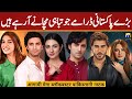 Most Awaited & Mega Budget Upcoming Pakistani Dramas Release Date | 2024-2025 | Dramaz ETC