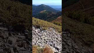 Kis- Beszterce Sarka (1950m) -ról menet a Sztracsór -tetőre (1963m).Kelemen-havasok 28.09.2024