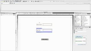 Livecycle Designer - Script Based Validation