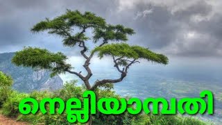 Nelliyampathy Kerala tourism |നെല്ലിയാമ്പതിയിൽ കണ്ട കാഴ്ചകൾ| Hill Station