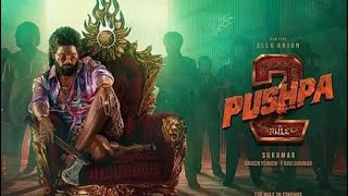 PUSHPA PUSHPA (Lyrical)-Pushpa 2 The Rule | Allu Arjun Sukumar | Rashmika |VR lofi song |