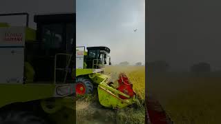 Vishal 435 Cambine harvester #farming #kheti #farmer #shortvideo #automobile #khetibadi #dhan #