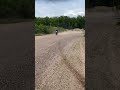 YZ450F top speed