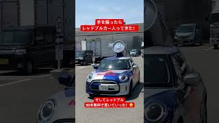 手を振ったら、レッドブルカーが敷地内に入ってきた！　#レッドブル　#改造車　#無料配布　#RedBull #Mini Cooper