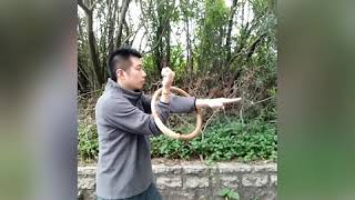 Rattan Ring Training 3 人人有功練：籐圈 3