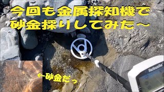 今回も金属探知機で砂金採りしてみた