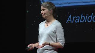 Humans are explorers––go boldly | Anna-Lisa Paul | TEDxUF