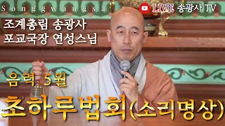 [LIVE] 송광사 음력5월 초하루법회 \