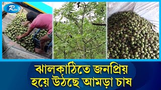 বাড়তি কোন উৎপাদন খরচ না থাকায় অন্য যেকোন ফসলের চেয়ে এটি লাভজনক |  Rtv News