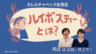 ノンカフェインでいつでも飲める【ルイボスティー】について紅茶専門家が徹底解説