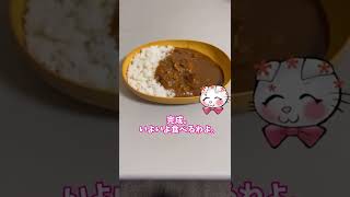 無印商品の牛すじカレーを食べるぞ！　辛さ４レベルでも美味しい！　手軽に食べれるならコレ！？【ゆっくり】