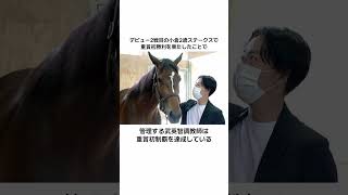 「メイケイエール」に関する雑学動画 #競馬 #競馬予想 #ウマ娘 #メイケイエール #スプリンターズs #スプリンターズステークス