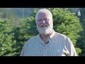 harvesting one million christmas trees by helicopter