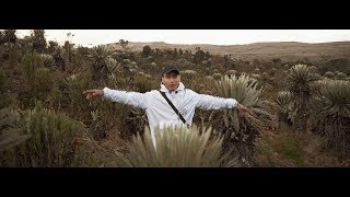 Almanegra - Natural - (VideoClip Oficial)