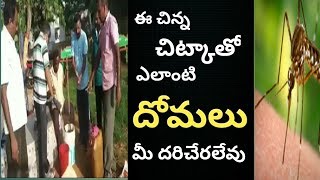 దోమల నివారణకు సులువైన మార్గం I An easy way to prevent mosquito I ఈ చిన్ని చిట్కాతో దోమలు మీ దరిచేరవు