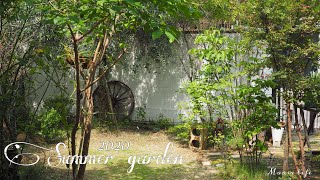 【my garden tour 】2020 夏のナチュラルガーデン /夏の庭の管理 /蝉の声で夏を感じる