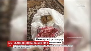 18-річна львів'янка похизувалася мертвим хом'яком у пакеті, якого заморила голодом