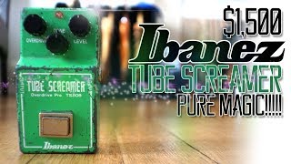 $1,500 Ibanez TS808 Tube Screamer From 1981 | Pure Magic!!! 😊 🙏