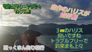 【和歌山マリーナシティ釣り公園】かご釣りでヘダイ 黒鯛 やはりハリスは３mが良いかも 自作ハリスでトラブルフリー